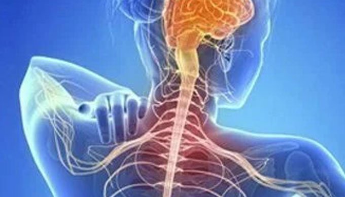 Multiple Sclerosis