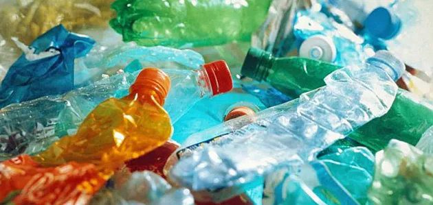 The Health Dangers of Plastic: What You Need to Know