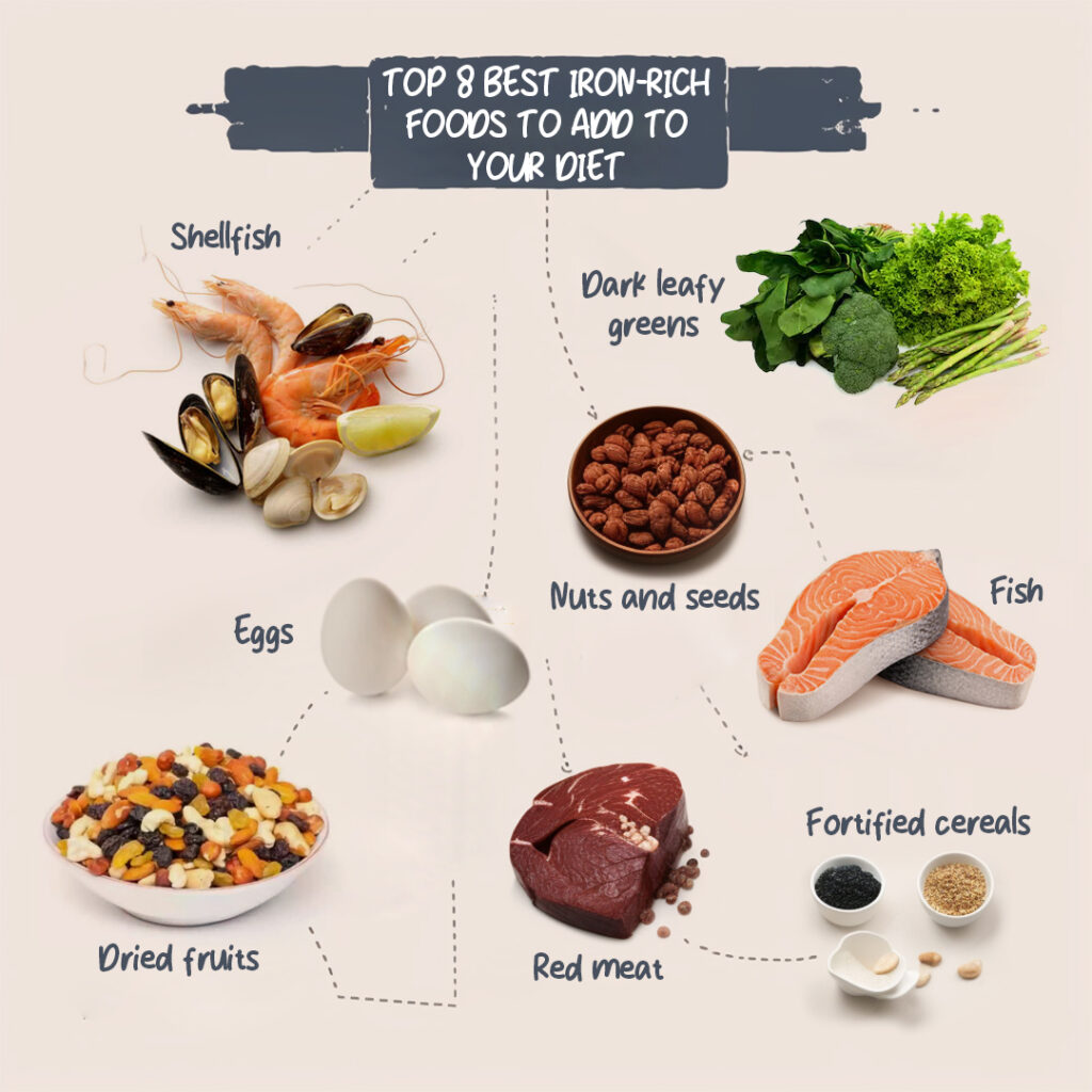 top 8 best iron rich foods to add to your diet
