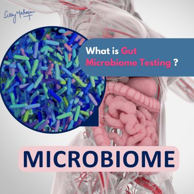 Gut Microbiome Testing  Explained By Silky Mahajan