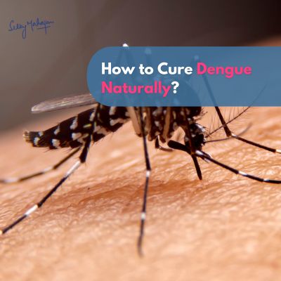 how to cure dengue naturally