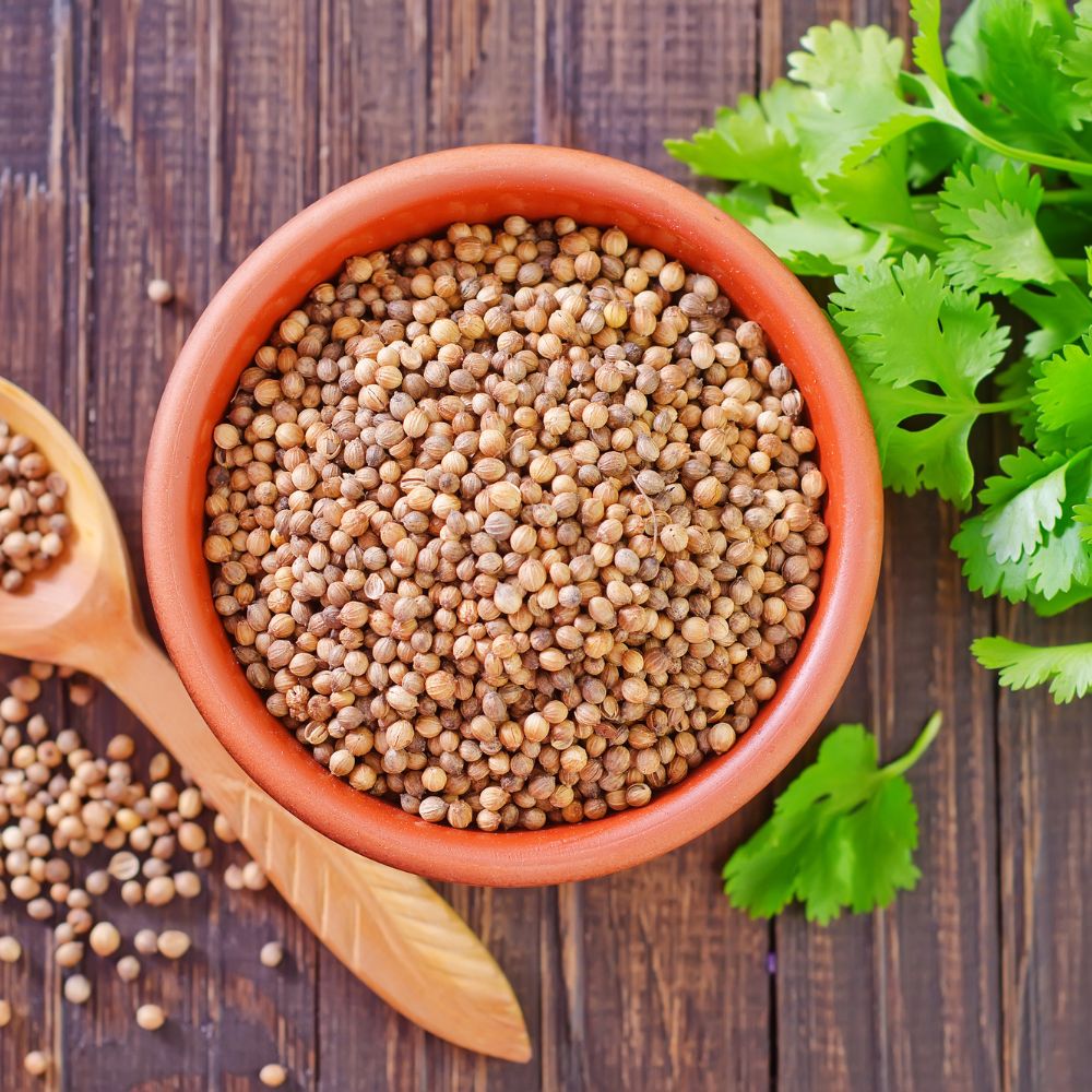 Coriander Seeds