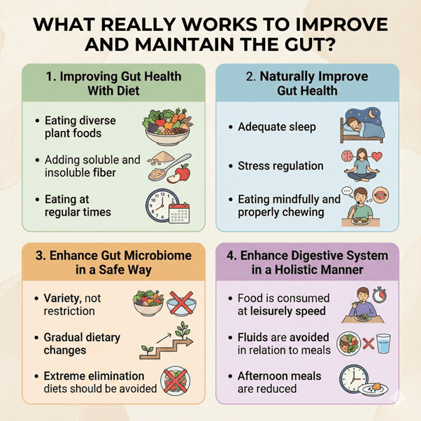 how to Improve and Maintain your gut health