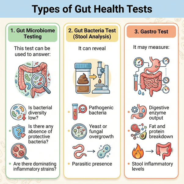 types of gut health test